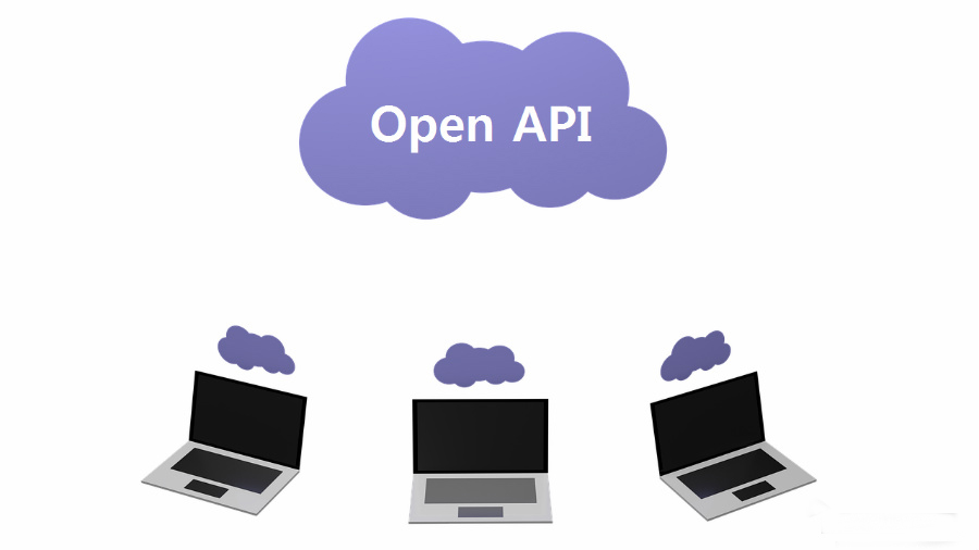 Open API (1).jpg